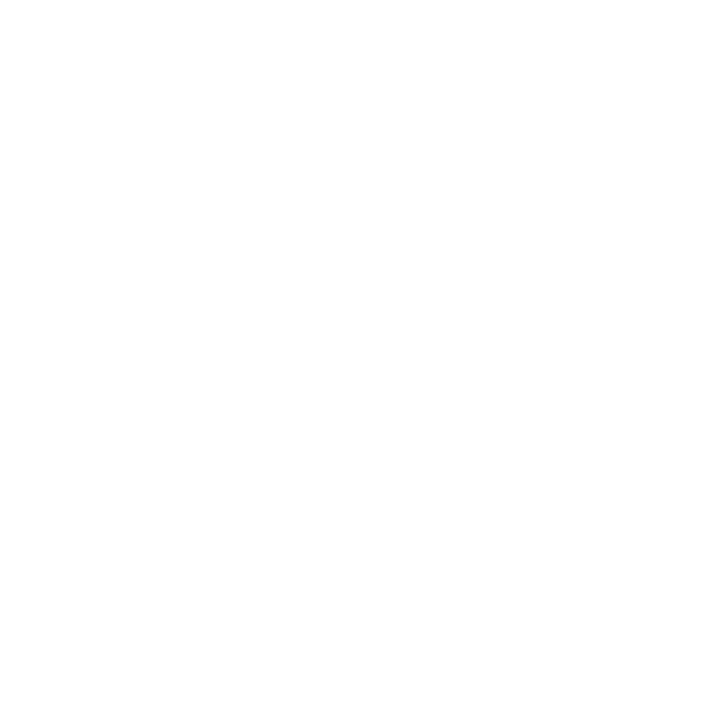 Google · Gemini