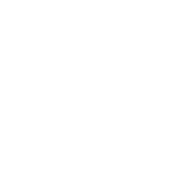 Google · Veo